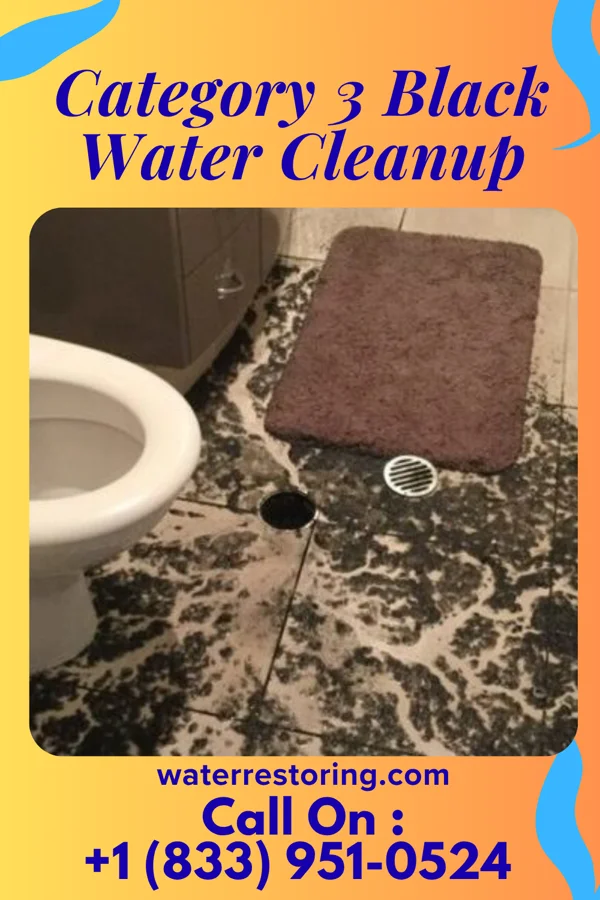 Category 3 Black Water Cleanup in Marriott-Slaterville, UT